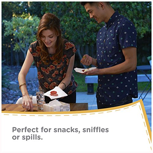 Kleenex Multicare Facial Tissues, 80 Count (Pack of 6) Pricepulse