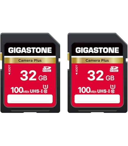 Amazon.com: SanDisk Extreme PRO SDHC UHS-I 32GB, Black (SDSDXXG