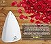 KOKO AROMA Aromatherapy Essential Oil Diffuser Humidifier: Iron Cover Metal infuser 120mL Ultrasonic Mist Maker and Air Difuser with 7 Color LED NightLights and Auto Shut-off for Home Office Bedroom