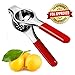 O'Citron Lemon Squeezer Stainless Steel, Lime Juicer with Ergonomic Silicone Handles, Manual Citrus Press Premium Quality