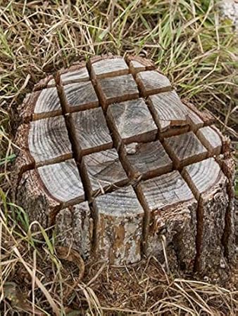 WoodAway Baumstumpfentferner 600g