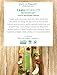 Live Ultimate Camu Advanced Youth Recovery Facial Serum - Anti-Aging and Wrinkle Reducing Face Serum - SIZE 1.7oz/48g