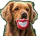 Lillypet TM Puppy Dog Toys Big Red Lip Rubber Toy Dog Toy Lips for Pet Dog with Sound Squeaker Squeaky Toys