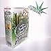 Double Platinum Wraps 2x Kush Flavor Box of 25 Packs - Limited Edition Kush Sticker
