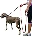 Jet Storm Dog Leashes for Large Dogs + Dog Supplies Dog Products + 8 Ft 2 Inch Extra Long Dog Leash + Nylon Dog Leash + Leashes for Puppies + Pet Supplies for Dogs Leashes + Pet Supplies for Dogs