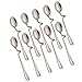 Zicome Set of 10 Honey Spoons, Stainless Steel, 7-Inch Long