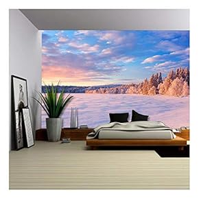 a Beautiful Lake in Finnish Lapland in Winter. Photographed at ã"Ijã¤Jã¤Rvi at Sunset. - Removable Wall Mural | Self-Adhesive Large Wallpaper - 66x96 inches