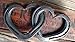 Intertwined Horseshoe Hearts - hanging wall or decor