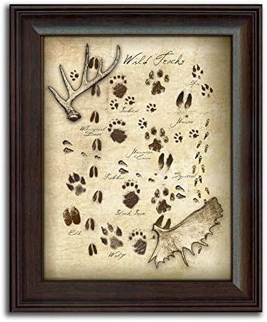Animal Tracks of North America - Framed Behind Glass 14x17