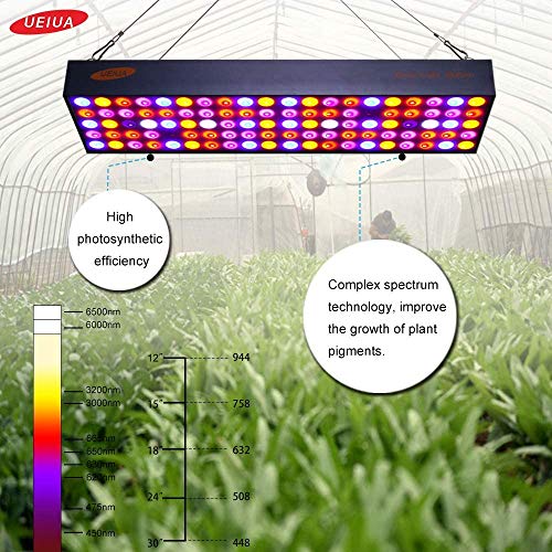 LED Grow Light, UEIUA 600W Full Spectrum Double Switch Grow Lamp with