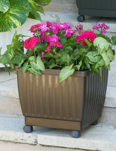 Amazon Com 17 Self Watering Rolling Planter For Indoor Outdoor