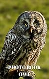 Image de PHOTO BOOK : OWL