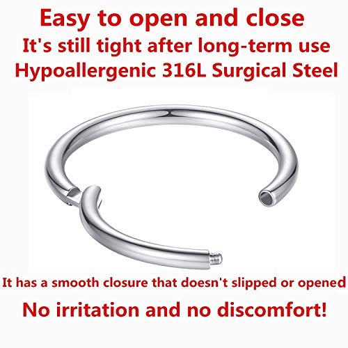 ORANGELOVE Hypoallergenic Nose Rings 20G 18G 16G 14G 12G 10G 8G 316l Surgical Steel Septum Jewelry Hinged Segment Ring Body Piercing Nose Hoop Lip Rings Nose Helix Cartilage Rook Earrings