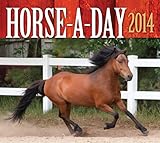 Cover for 9780760345016