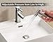 SmarterFresh Rounded Bidet Sprayer Head Only, Stainless Steel Brushed Nickel Diaper Sprayer Bidet Head