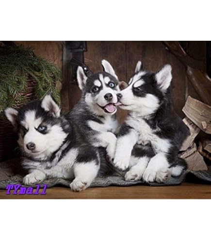 Amazon.com: Oarencol Cute Dog Little Husky Puppy Animal Jigsaw