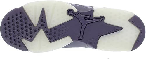 jordan retro 6 purple dynasty