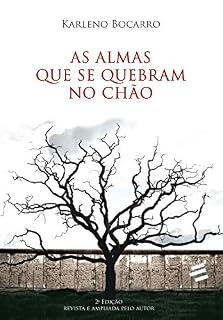 Livro As Almas que se Quebram no Chão