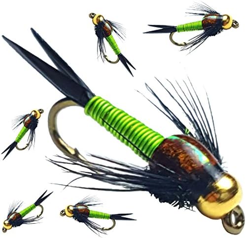 BH Copper John Fly Fishing Nymph Trout Fly Assortment - 6 Flies (Chartreuse)