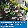 API-pH-DOWN-Freshwater-Aquarium-Water-pH-Reducing-Solution-118-ml-Bottle API pH UP Freshwater Aquarium Water pH Raising Solution 1.25-Ounce Bottle