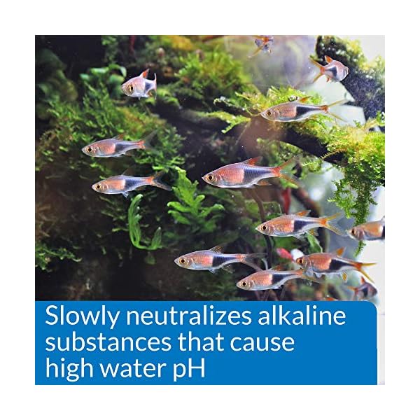 API-pH-DOWN-Freshwater-Aquarium-Water-pH-Reducing-Solution-118-ml-Bottle API pH UP Freshwater Aquarium Water pH Raising Solution 1.25-Ounce Bottle