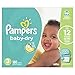 Pampers Diapers Size 3 (Old)