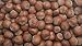 Presto Sales Filberts Hazelnuts Raw In Shell - 80 oz. (5 lbs.) Resealable Bag - Non-GMO, Gourmet and Savory Flavor Hazelnuts Natural Healthy, Low-Carb, Keto Friendly Snack by Presto Sales