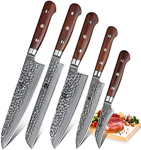 XINZUO 5 Piece Set Professional Kitchen Knives, High-Carbon Damascus Steel Hammer Forged Sharp Chef Knife, Santoku, Bread, Fruit,Utility Knife with Rosewood Handle - Yun Series