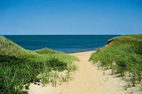 Nantucket Beach Dunes Photo 24 x 36in with Poster Hanger
