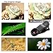 iPhone Lens,180° Fisheye Lens+15X Macro Lens+0.65X 100°Wide Angle Lens+3X Telephoto Phone Camera Lens Kit with Clips for iPhone 7/6/6 Plus/6S/6S/6s Plus Samsung S6/S7 Edge