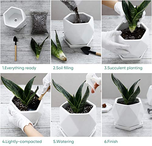 Greenaholics Succulent Pot - 5.1 Inch Square Ceramic Planter with Saucer, Flower Pot for Indoor Plant, with Drainage Hole, White