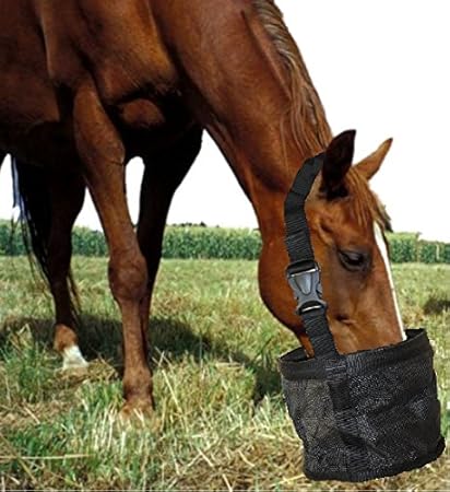Amazon Com Feed Bag For Horses Heavy Duty Durable Canvas Grain