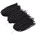 Silike Premium Marlybob Kinky Curl Braiding Hair (3 Bundles/pack) 8