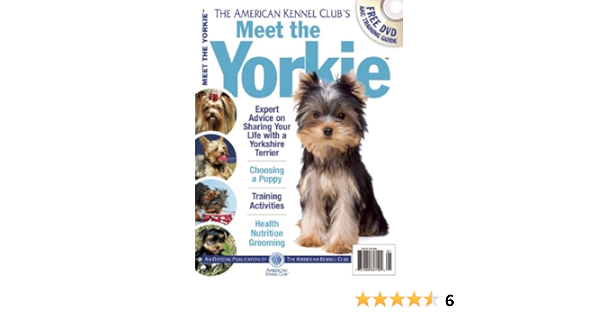 yorkshire terrier club of america