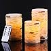 Bingolife Real Wax Birch Bark Effect Flameless LED Candles 4