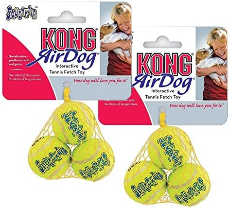 kong air squeaker tennis balls
