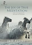 The Joy of True Meditation: Words of Encouragement for Tired Minds and Wild Hearts by Jeff Foster