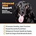 PointPet Advanced Glucosamine Hip and Joint Supplement for Dogs, 90 Count - Soft Chews - Dog Joint Health Chews - Chews with Chondroitin Turmeric, Omega 3