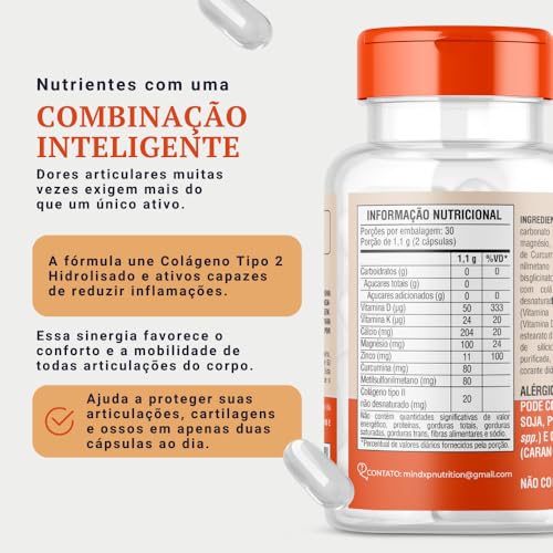 Colágeno Tipo 2 LONGA DURAÇÃO 60 Cápsulas | Magnésio, Cálcio, Zinco, Curcumina e MSM | Multivitamínico | COLLAGENO COMPLEX PRO