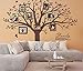 Grant Family Tree Wall Decal with Family Like Branches on a Tree Wall Decal Sticker Quote Living Room Decor(83