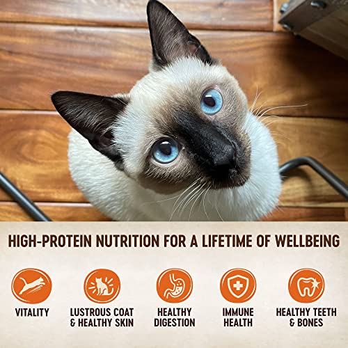 Wellness CORE GrainFree Signature Selects Wet Cat Food, Natural Pet