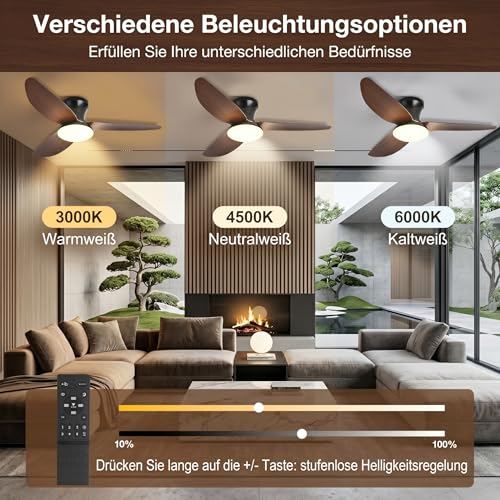Ceiling Fan with Lighting, Ø100cm App Control & Remote Control, Ceiling Light with Fan, 6 Speed, 3 Variable Colors, Silent DC Motor, Summer-Winter Operation, Timer