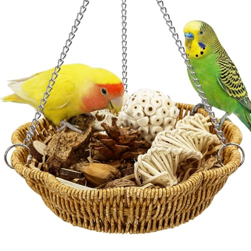 Jevnd Bird Foraging Toy Set
