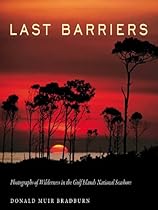 Girl Reading: A Novel