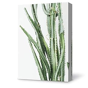 SIGNFORD Canvas Wall Art Plant Succulents Plant Office...