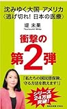 沈みゆく大国アメリカ 〈逃げ切れ！　日本の医療〉 (集英社新書)