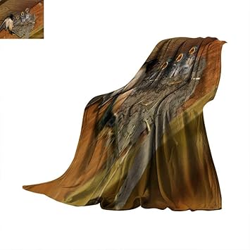 Amazon Com Angoueleven Bed Cover Barn Swallow Feeding Babies