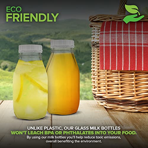 Glass Milk Bottles (2 Pack) 12Ounce Glass Milk Jars 6 Tamper Proof