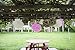 Tissue Paper Pom Poms Neutral Pink Gold Decorations - 9 Pcs 14