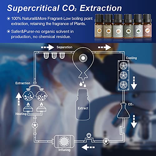 ASAKUKI Essential Oils Gift Set Premium Fragrance Oils for Gentlemen, Candle & Soap DIY Making - Sandalwood, Cedarwood, Frankincense, Teakwood, Sweet Tobacco, Bay Rum, 10ML Wood Scents